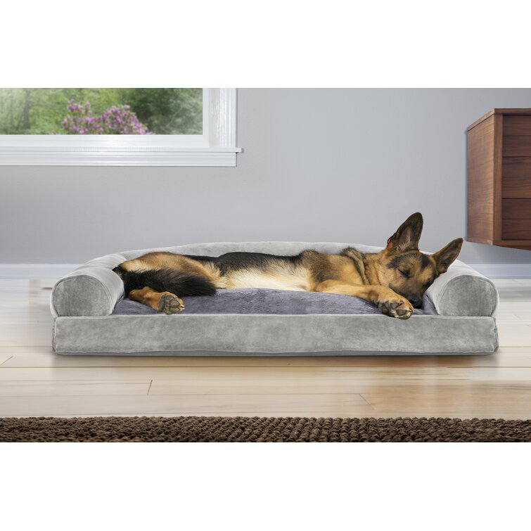 Wayfair canada dog store beds